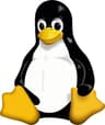 Linux Kernel logo